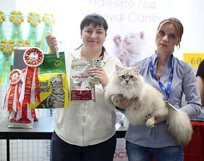 �������� ����� 11-12 ������ 2015, ������������ ���  sib-174-169A5056 copy.jpg